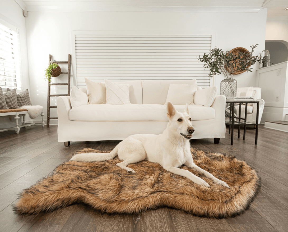 PupRug Faux Fur Orthopedic Dog Bed - Curve Sable Tan – Dog Beds by Paw.com