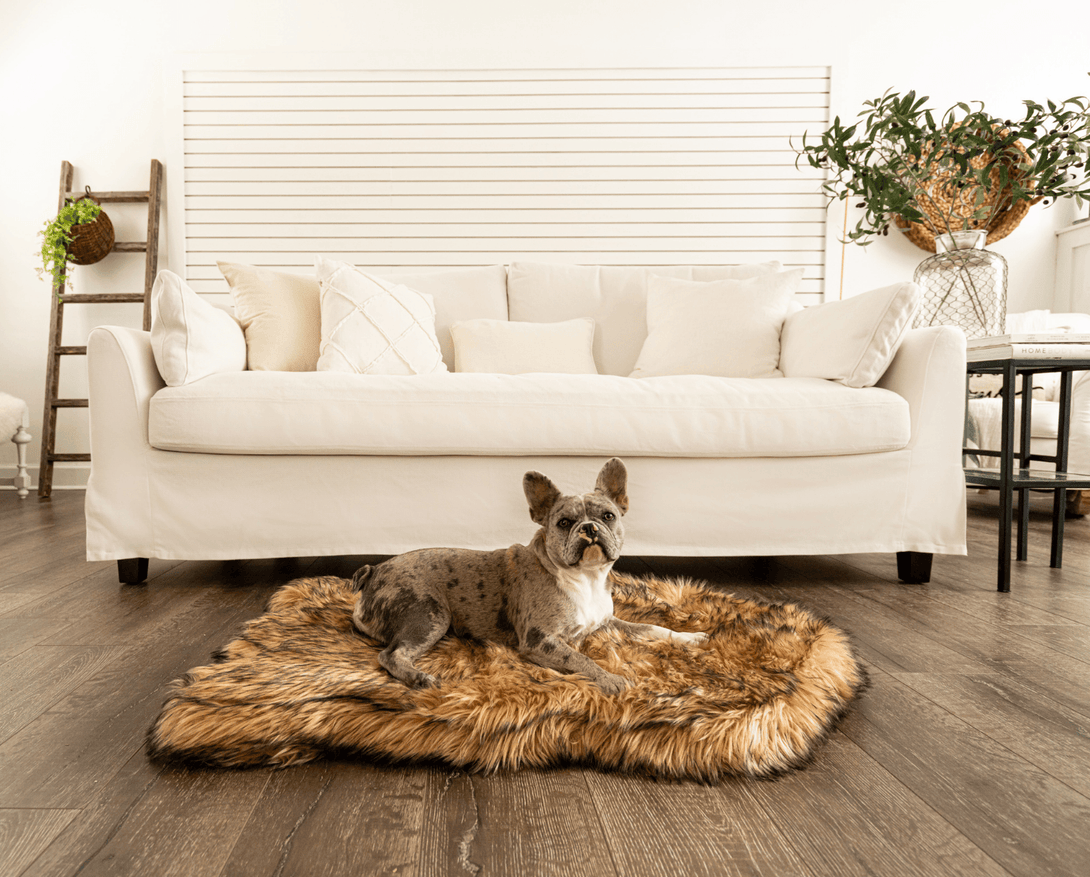 PupRug Faux Fur Orthopedic Dog Bed - Curve Sable Tan – Dog Beds by Paw.com