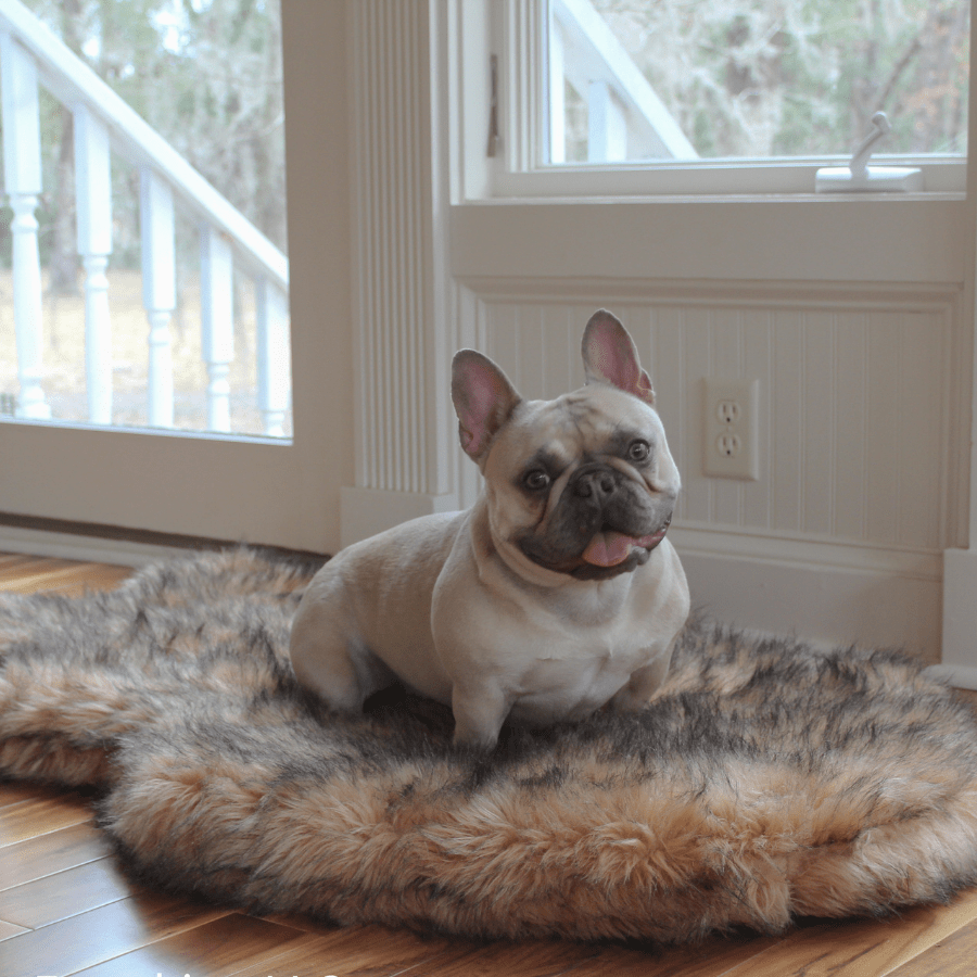 PupRug Faux Fur Orthopedic Dog Bed - Curve Sable Tan – Dog Beds by Paw.com