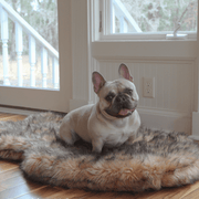 PupRug Faux Fur Orthopedic Dog Bed - Curve Sable Tan – Dog Beds by Paw.com