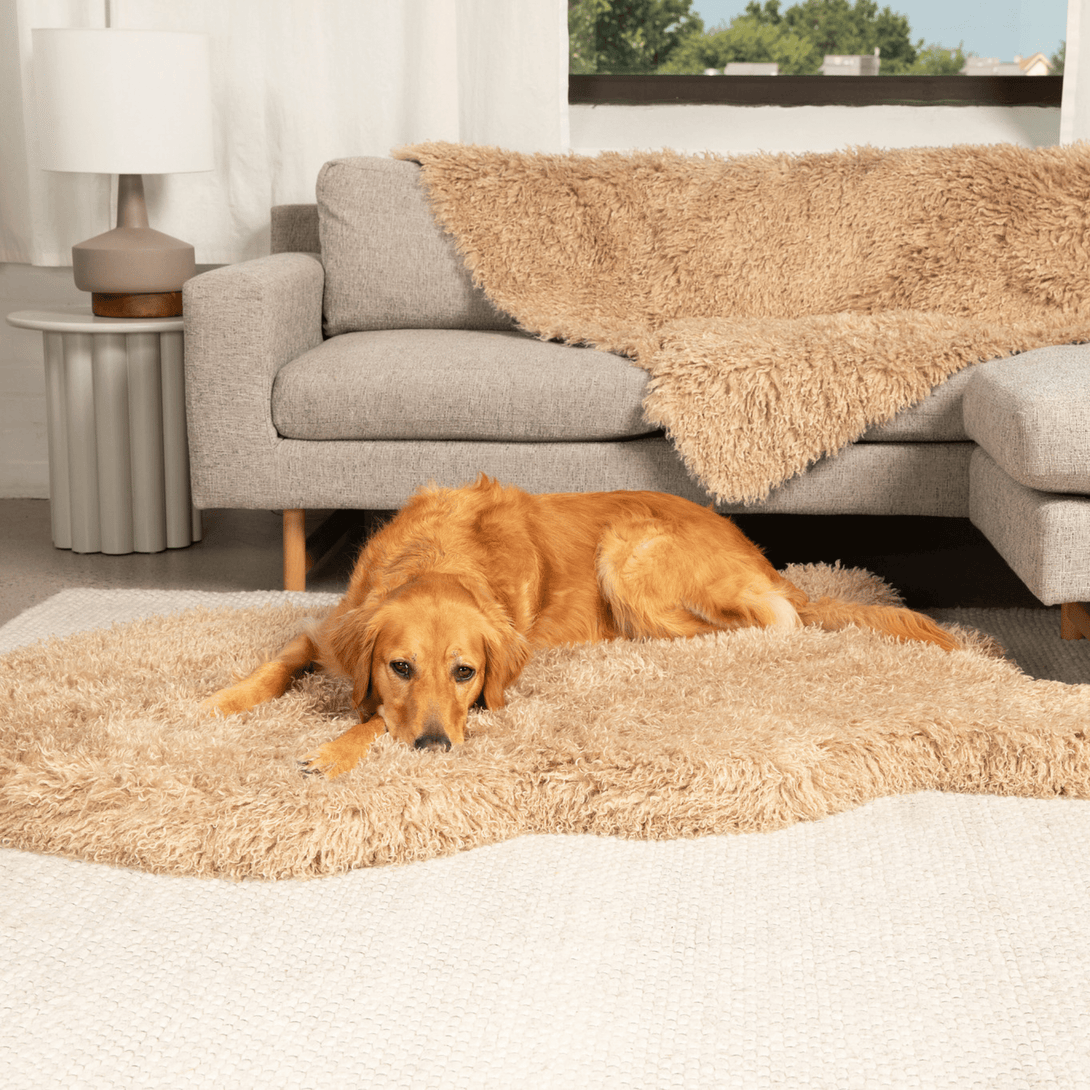 PupRug Luxe Faux Fur Orthopedic Dog Bed - Plush Sheep Tan – Dog Beds by Paw.com