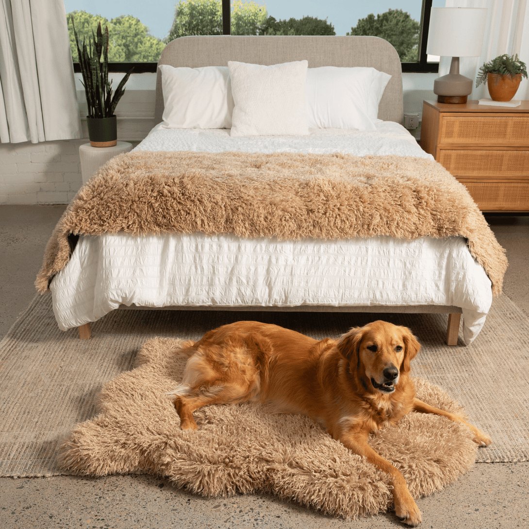 PupRug Luxe Faux Fur Orthopedic Dog Bed - Plush Sheep Tan – Dog Beds by Paw.com