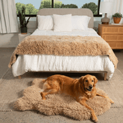 PupRug Luxe Faux Fur Orthopedic Dog Bed - Plush Sheep Tan – Dog Beds by Paw.com