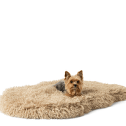 PupRug Luxe Faux Fur Orthopedic Dog Bed - Plush Sheep Tan – Dog Beds by Paw.com