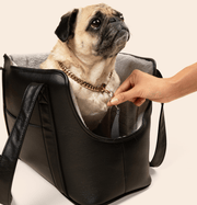 PupTote 3 - in - 1 Faux Leather Dog Carrier Bag - Black – Pet Carriers by Paw.com