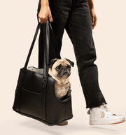 PupTote 3 - in - 1 Faux Leather Dog Carrier Bag - Black – Pet Carriers by Paw.com