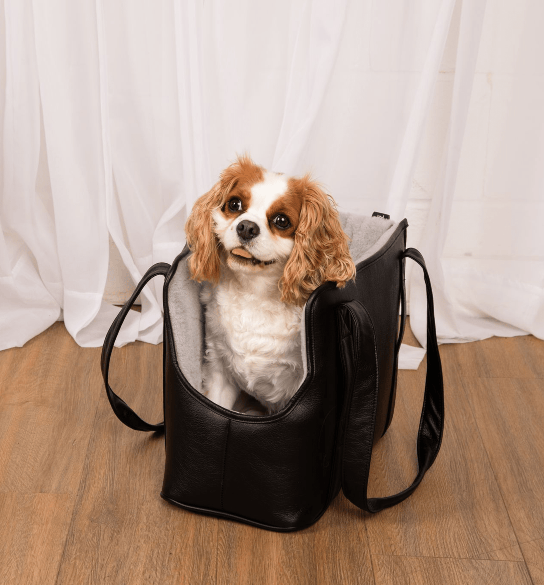 PupTote 3 - in - 1 Faux Leather Dog Carrier Bag - Black – Pet Carriers by Paw.com
