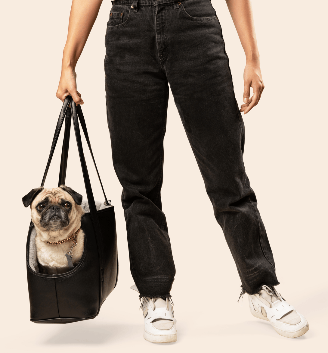 PupTote 3 - in - 1 Faux Leather Dog Carrier Bag - Black – Pet Carriers by Paw.com