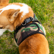 PupTrek Small Dog Soft Mesh Step In Dog Harness – Dog Harnesses by Mr. Peanut's Pet Carriers