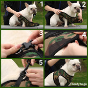 PupTrek Small Dog Soft Mesh Step In Dog Harness – Dog Harnesses by Mr. Peanut's Pet Carriers