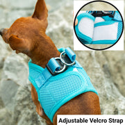 PupTrek Small Dog Soft Mesh Step In Dog Harness – Dog Harnesses by Mr. Peanut's Pet Carriers