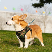 PupTrek Small Dog Soft Mesh Step In Dog Harness – Dog Harnesses by Mr. Peanut's Pet Carriers