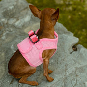 PupTrek Small Dog Soft Mesh Step In Dog Harness – Dog Harnesses by Mr. Peanut's Pet Carriers