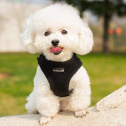 PupTrek Small Dog Soft Mesh Step In Dog Harness – Dog Harnesses by Mr. Peanut's Pet Carriers