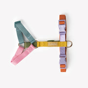 Rainbow - Dog Harness – Dog Harnesses by FURLOU