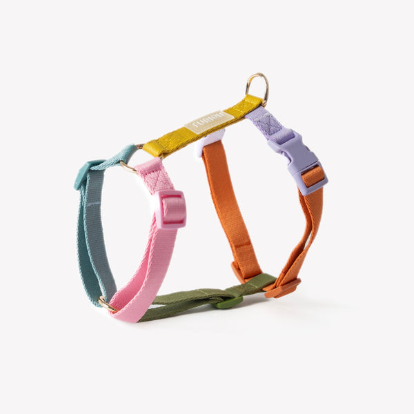 Rainbow - Dog Harness – Dog Harnesses by FURLOU