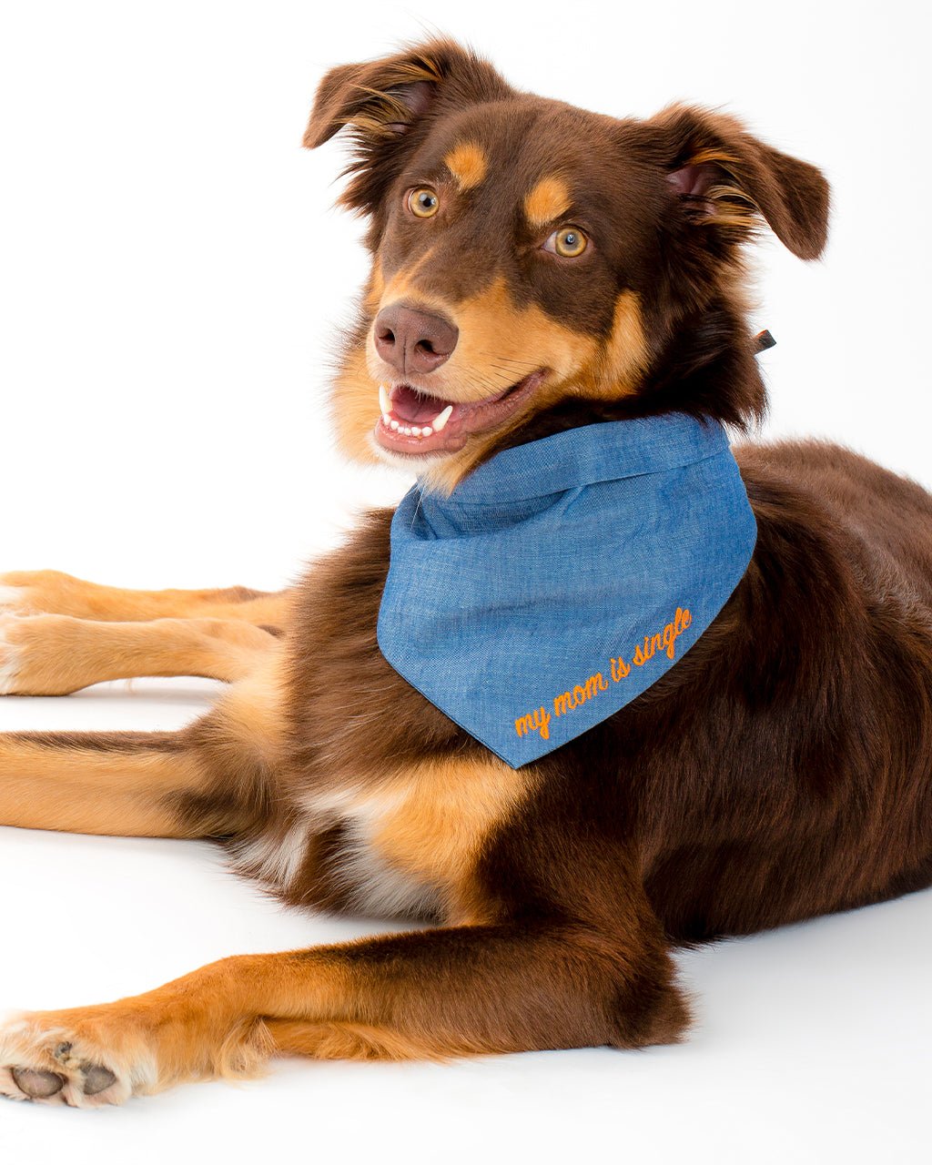 Red Dog Bandana – Bandanas & Neckwear by MODERNBEAST