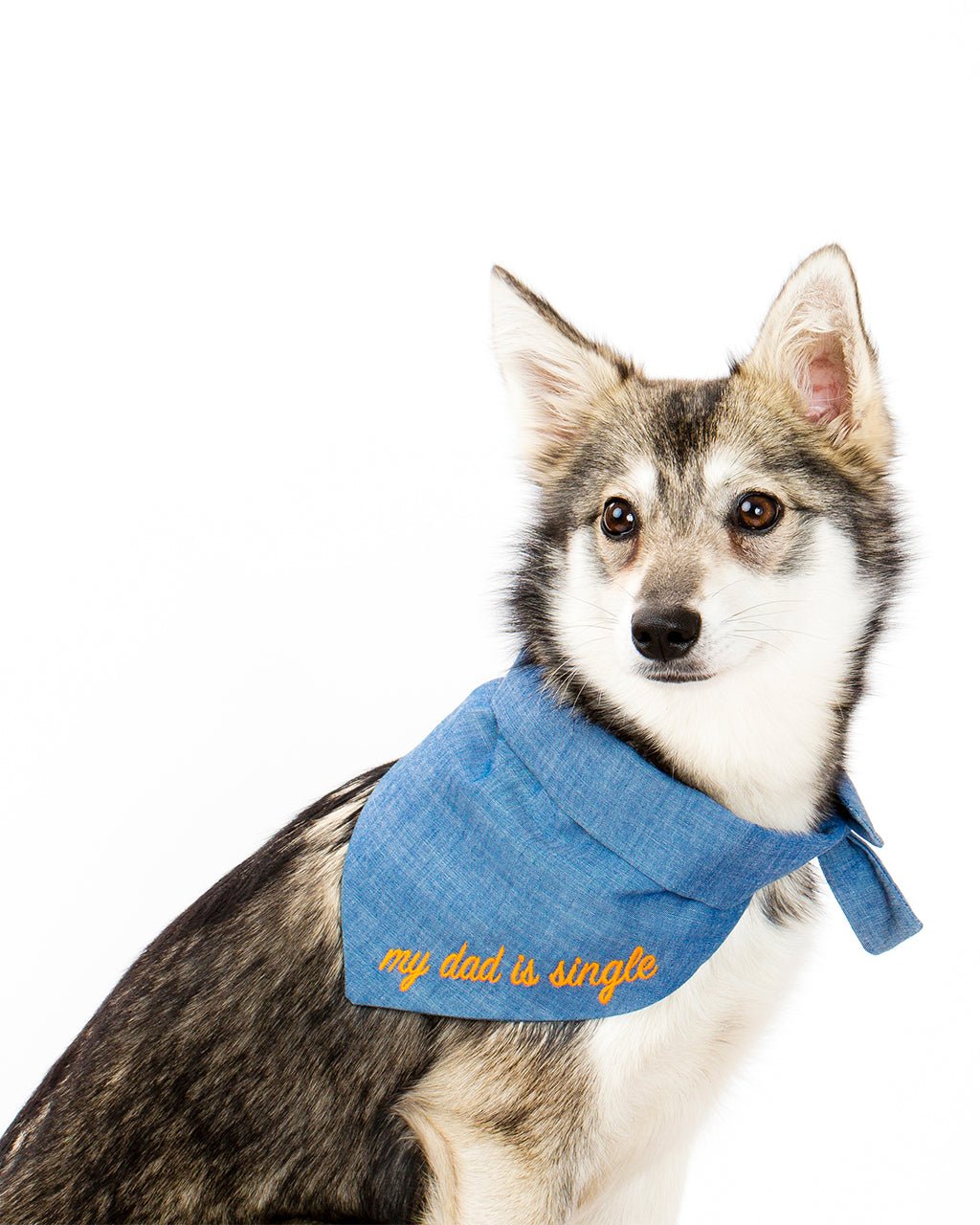 Red Dog Bandana – Bandanas & Neckwear by MODERNBEAST