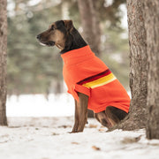 Retro Dog Sweater - Orange – Sweaters & Hoodies by GF Pet.us