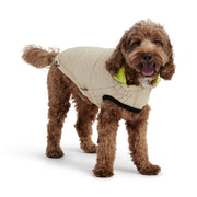 Reversible Chalet Dog Jacket - Sand/Yellow – Jackets & Coats by GF Pet.us