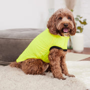 Reversible Chalet Dog Jacket - Sand/Yellow – Jackets & Coats by GF Pet.us