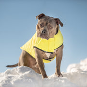 Reversible Chalet Dog Jacket - Sand/Yellow – Jackets & Coats by GF Pet.us