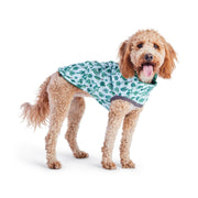 Reversible Elasto - Fit Dog Raincoat - Green/Green – Jackets & Coats by GF Pet.us
