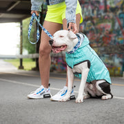 Reversible Elasto - Fit Dog Raincoat - Neon Aqua with Iridescent – Jackets & Coats by GF Pet.us