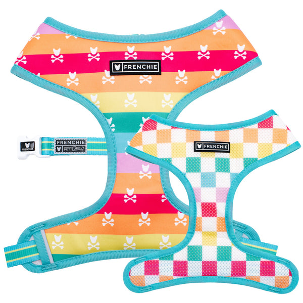 Frenchie Duo Reversible Dog Harness - Rainbow Bad to the Bone