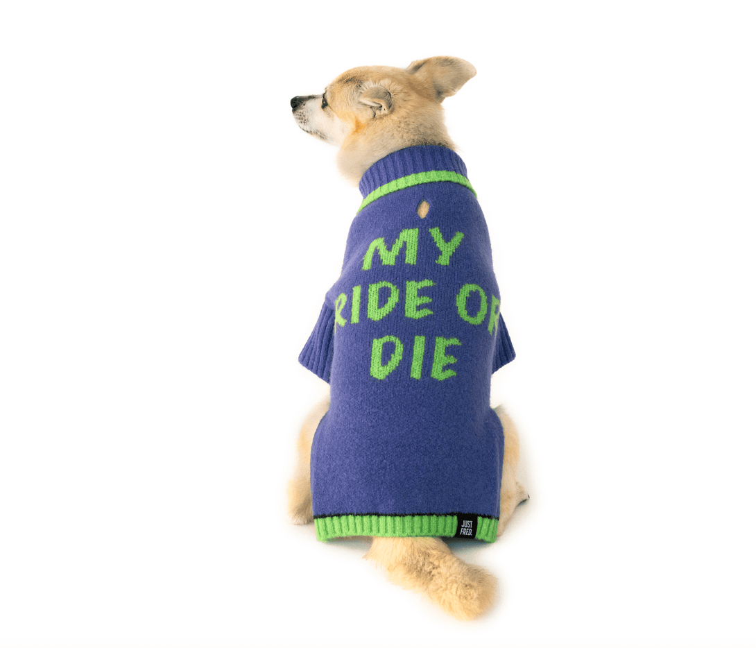 Ride or Die Knit Dog Sweater. – Sweaters & Hoodies by JUST FRED.