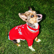 Ride or Die Knit Dog Sweater. – Sweaters & Hoodies by JUST FRED.