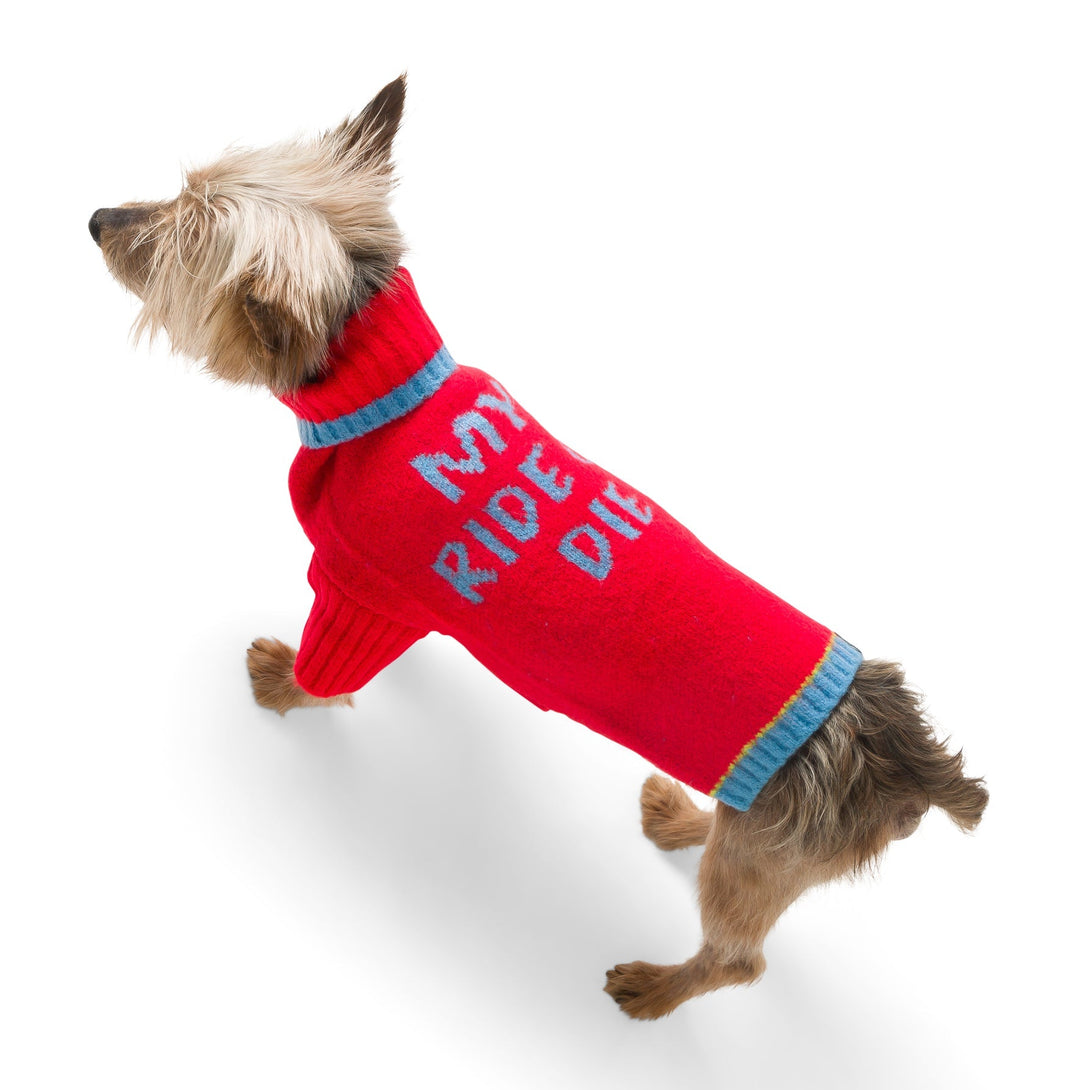 Ride or Die Knit Dog Sweater. – Sweaters & Hoodies by JUST FRED.