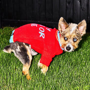 Ride or Die Knit Dog Sweater. – Sweaters & Hoodies by JUST FRED.