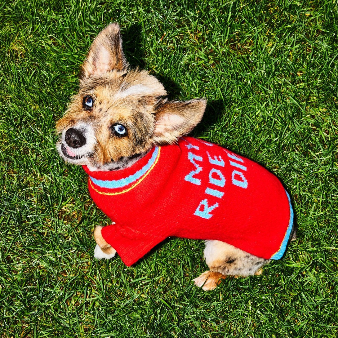 Ride or Die Knit Dog Sweater. – Sweaters & Hoodies by JUST FRED.