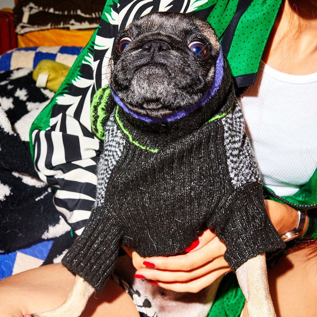 Rizz Knit Dog Sweater. – Sweaters & Hoodies by JUST FRED.