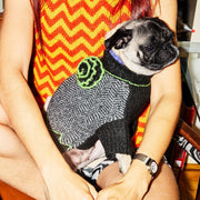 Rizz Knit Dog Sweater. – Sweaters & Hoodies by JUST FRED.