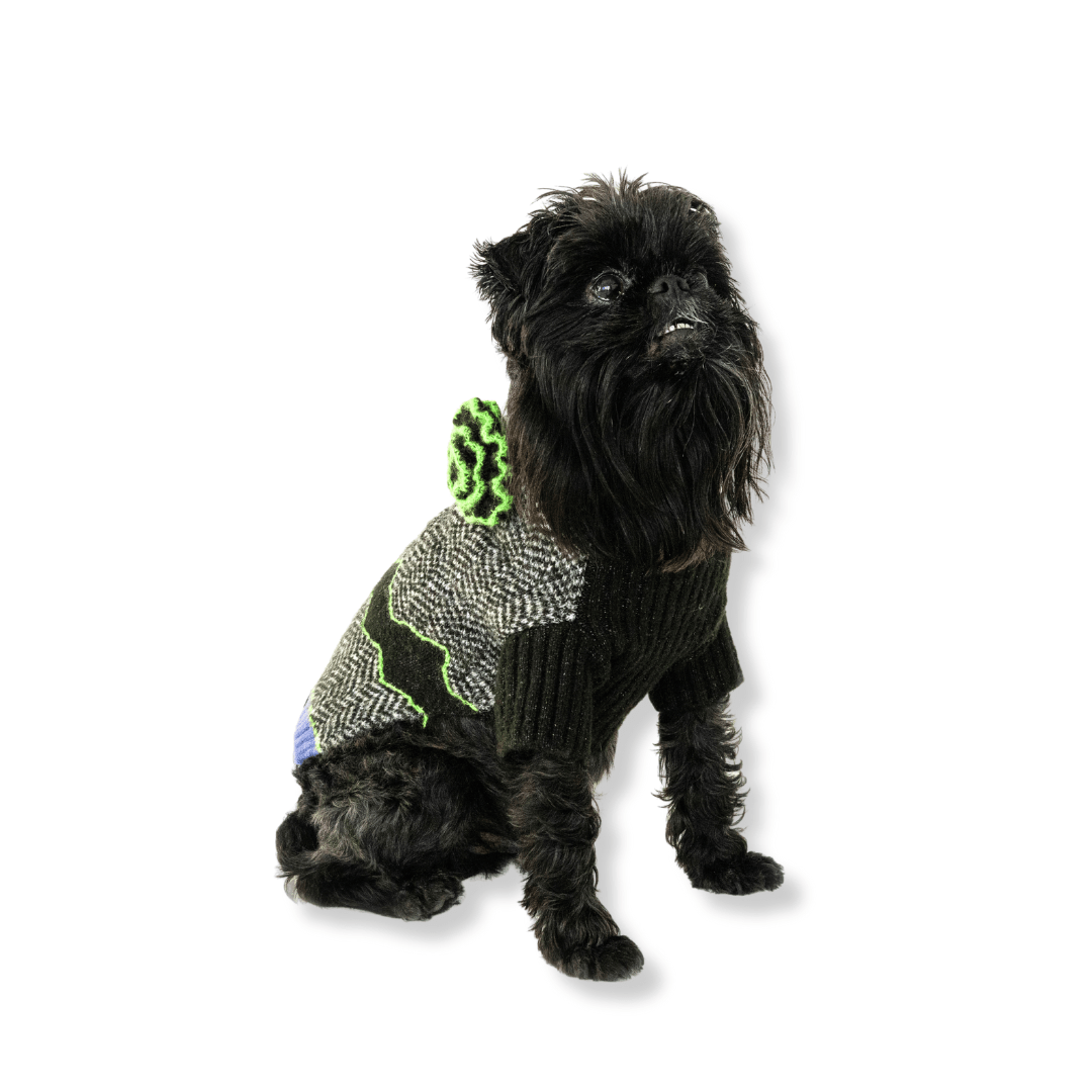 Rizz Knit Dog Sweater. – Sweaters & Hoodies by JUST FRED.
