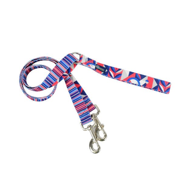 Rocky Freedom No - Pull Dog Harness – EarthStyle – Dog Harnesses by 2 Hounds Design