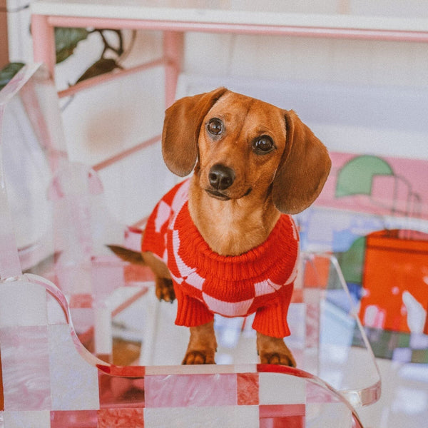 Roll Neck Knitted Love Dog Sweater