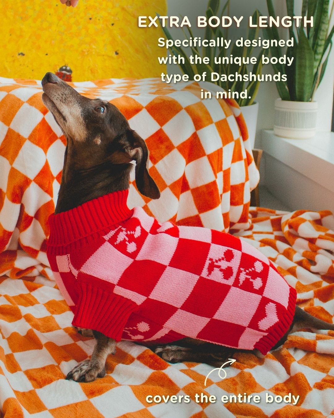 Roll Neck Knitted Love Dog Sweater – Sweaters & Hoodies by Sunbean