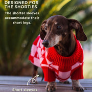 Roll Neck Knitted Love Dog Sweater – Sweaters & Hoodies by Sunbean