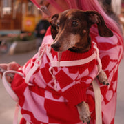 Roll Neck Knitted Love Dog Sweater – Sweaters & Hoodies by Sunbean