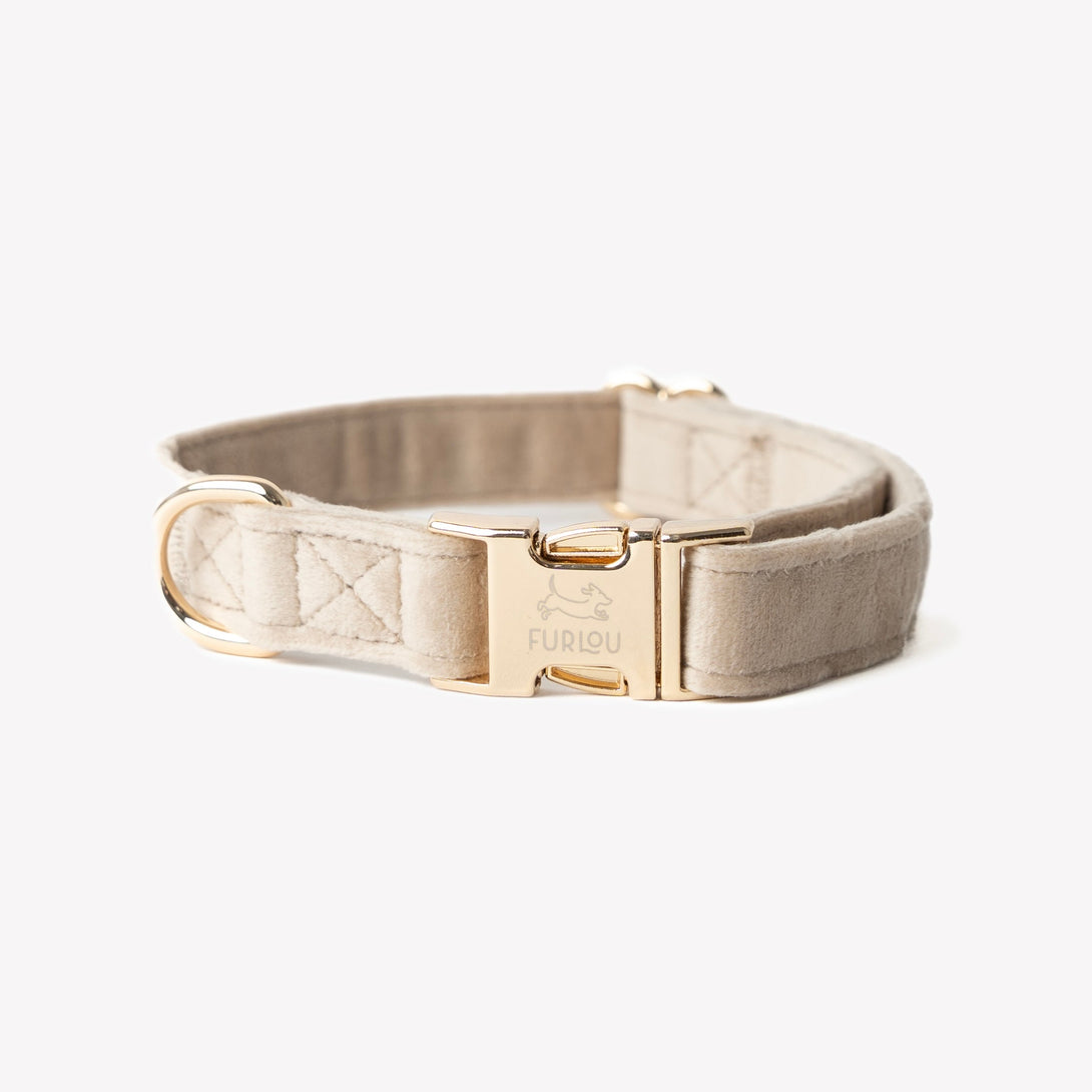 Sand - Velvet Dog Collar – Dog Collars by FURLOU