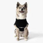 Shinola Brand Logo Knitted Dog Sweater – Sweaters & Hoodies by Shinola