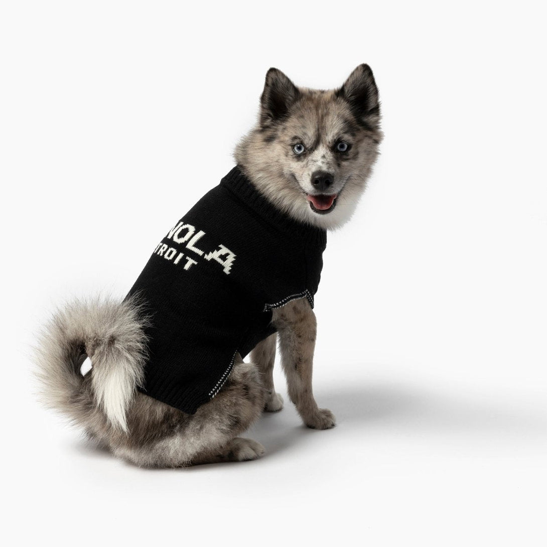 Shinola Brand Logo Knitted Dog Sweater – Sweaters & Hoodies by Shinola