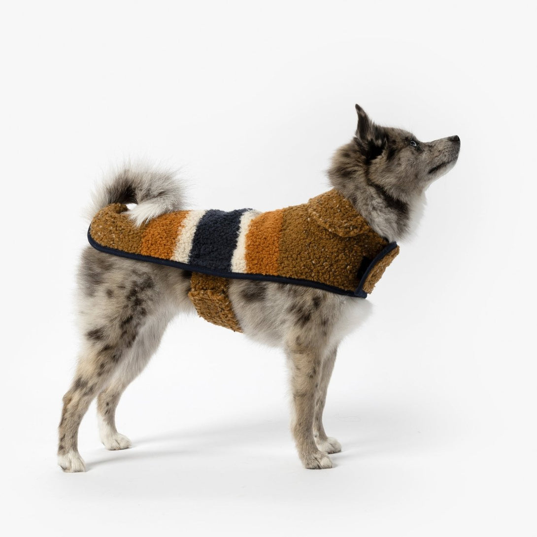 Shinola Brand Stripe Berber Dog Coat Rust – Jackets & Coats by Shinola