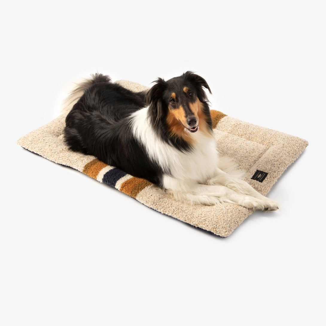 Shinola Brand Stripe Comfort Cushion Berber Dog Bed Oatmeal – Crate Mats & Pads by Shinola