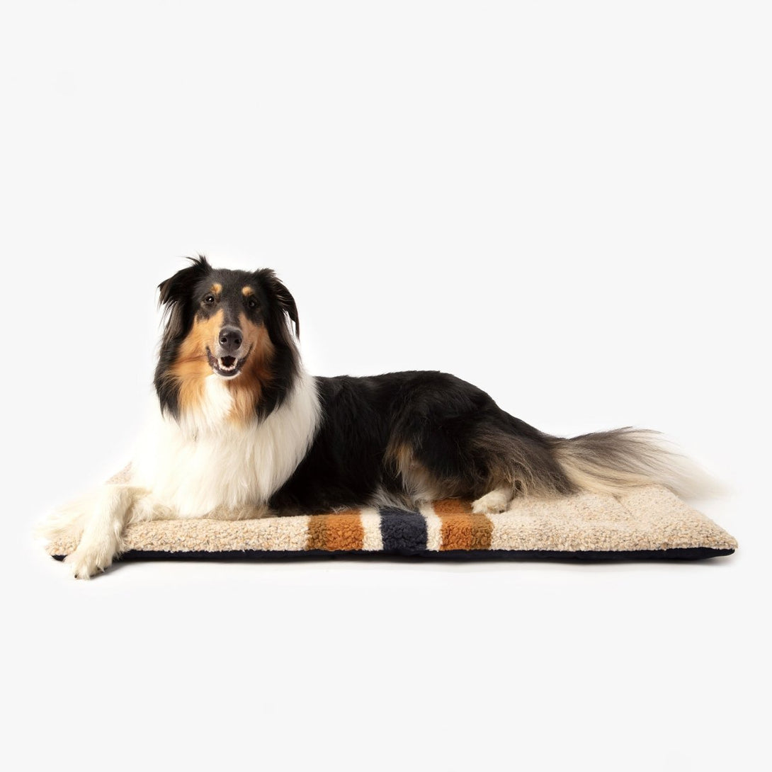 Shinola Brand Stripe Comfort Cushion Berber Dog Bed Oatmeal – Crate Mats & Pads by Shinola