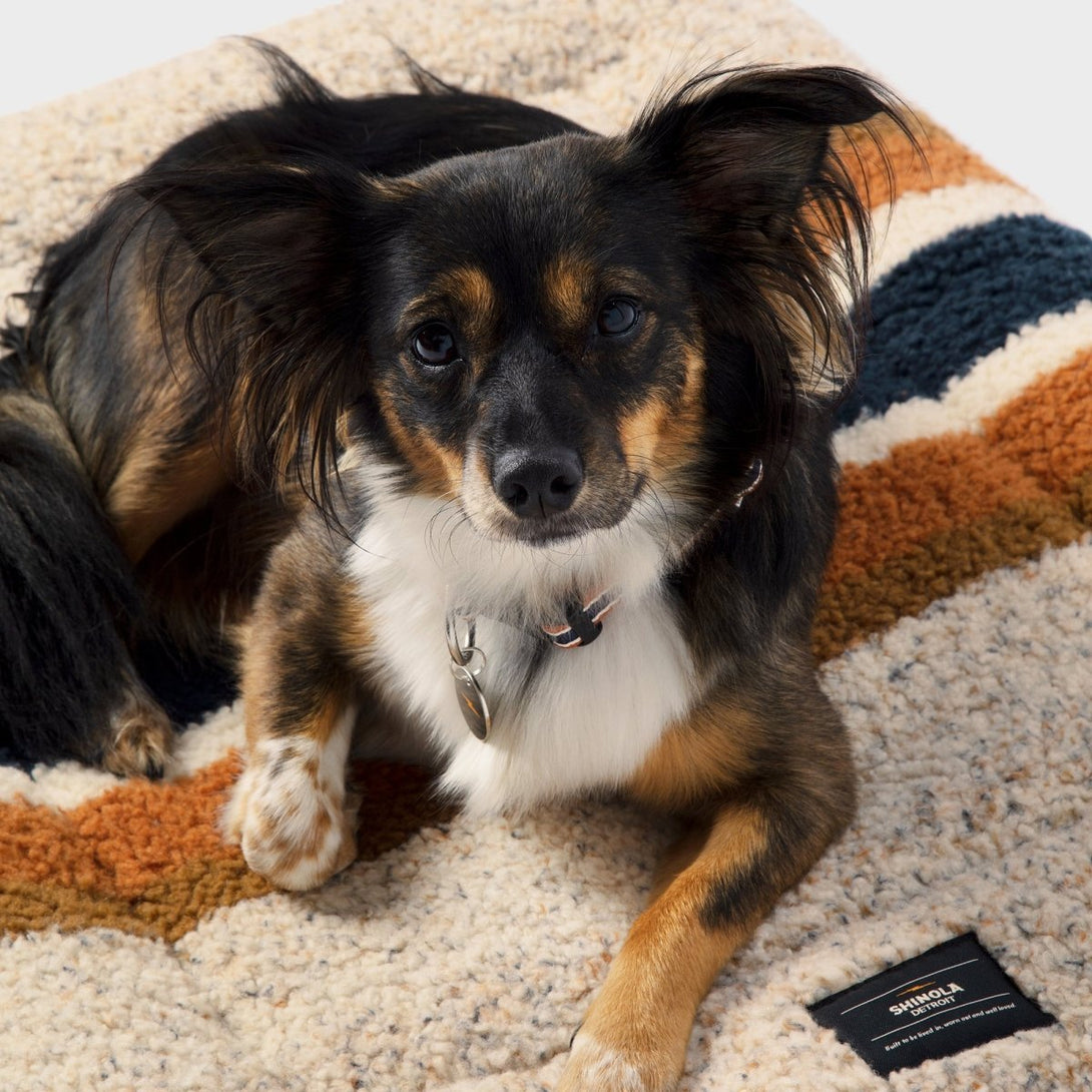 Shinola Brand Stripe Comfort Cushion Berber Dog Bed Oatmeal – Crate Mats & Pads by Shinola