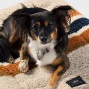 Shinola Brand Stripe Comfort Cushion Berber Dog Bed Oatmeal – Crate Mats & Pads by Shinola